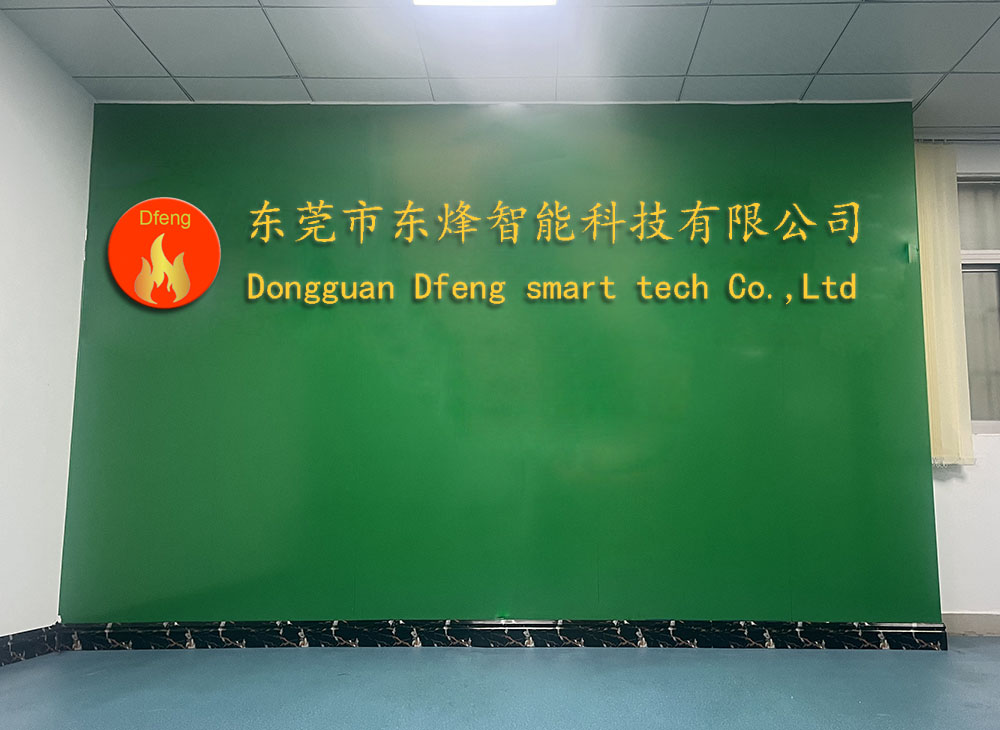 Dfeng company